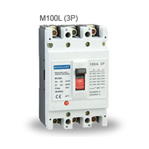 ML100L