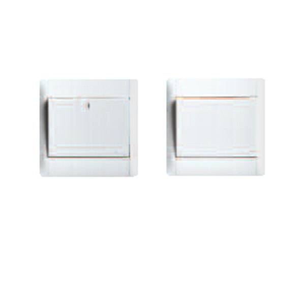 Double pole control switches