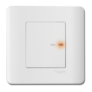 1 Gang Double Pole Switch