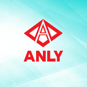 Anly Timer