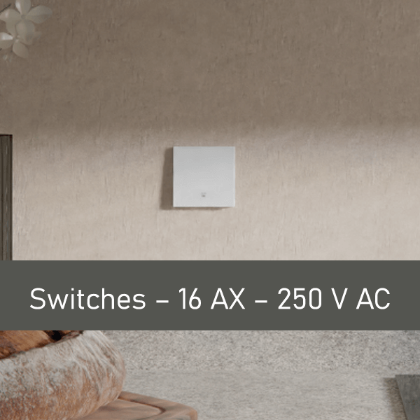 Switches – 10 AX – 250 V AC